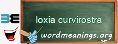 WordMeaning blackboard for loxia curvirostra